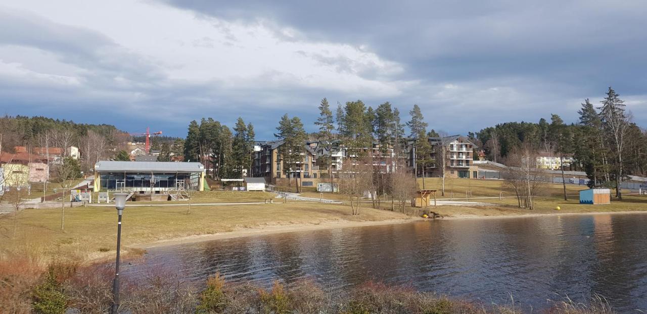 Molo Lipno Apartment Lipno nad Vltavou Luaran gambar